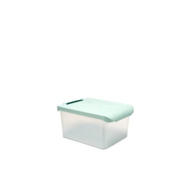 Caixa Arrumos Nature Menta 5.5l 30X20X13cm