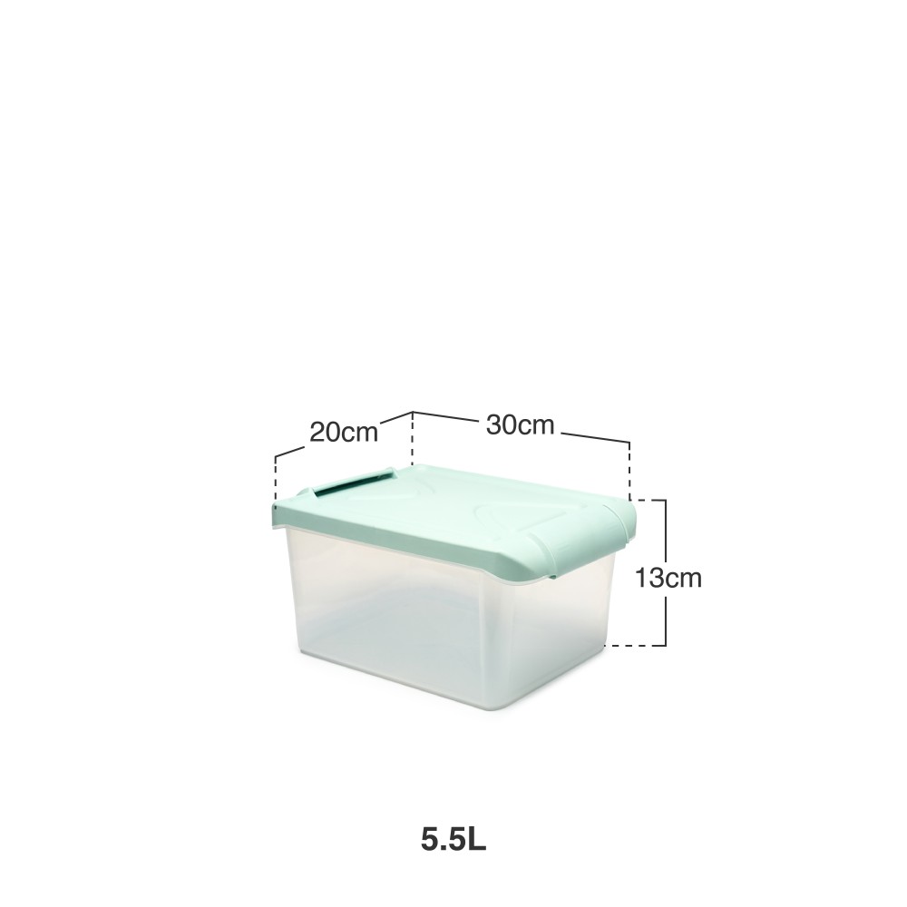 Caixa Arrumos Nature Menta 5.5l 30X20X13cm