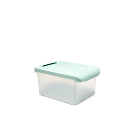 Caixa Arrumos Nature Menta 15l 40X28X20cm - Image product