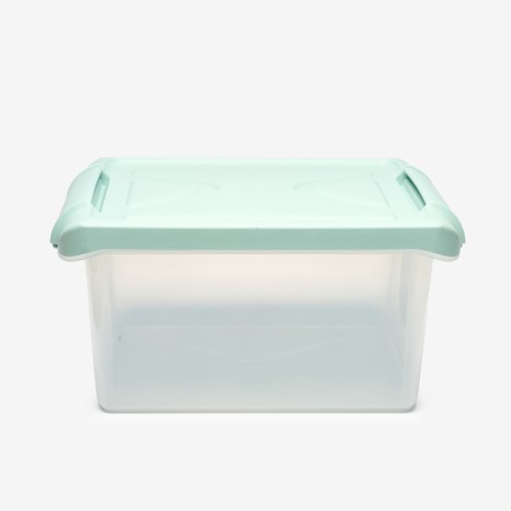 Caixa Arrumos Nature Menta 15l 40X28X20cm - Image product