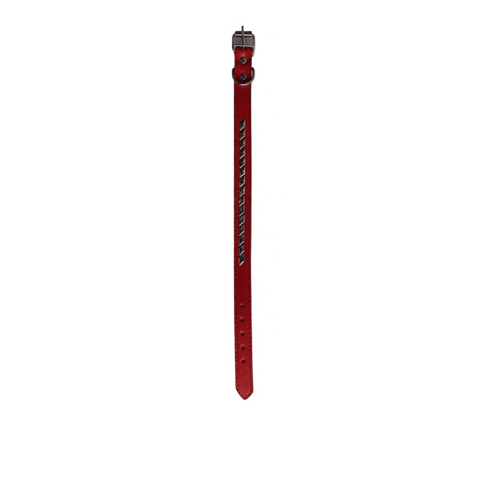 Coleira 39X2cm