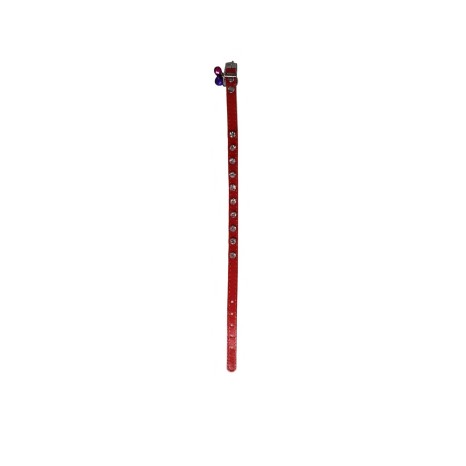 Coleira 31.5X1cm - Image product