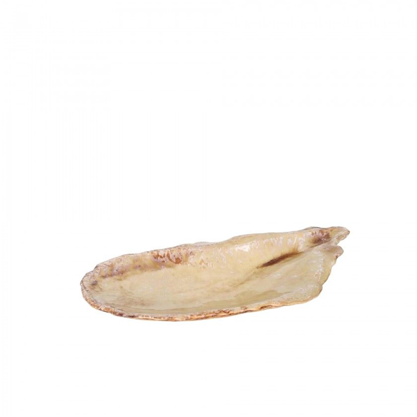 Bandeja Para Mexilhões Miomi 34X15.5X3.5cm Bandeja Para Mexilhões Miomi 34X15.5X3.5cm