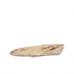 Bandeja Para Mexilhões Miomi 52X23.5X5.5cm Bandeja Para Mexilhões Miomi 52X23.5X5.5cm