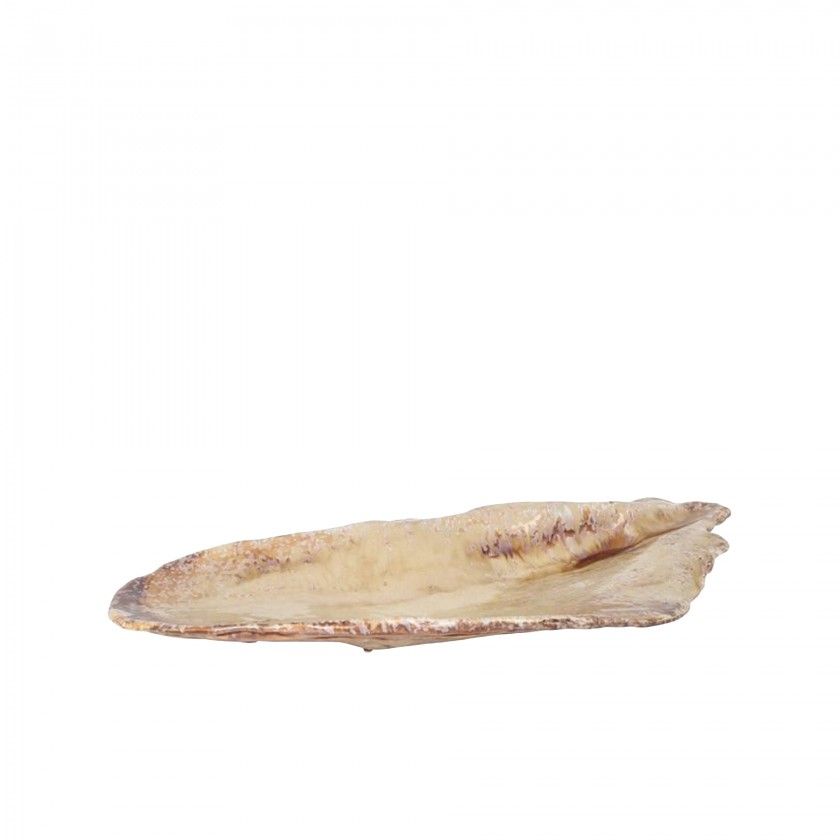 Bandeja Para Mexilhões Miomi 52X23.5X5.5cm Bandeja Para Mexilhões Miomi 52X23.5X5.5cm