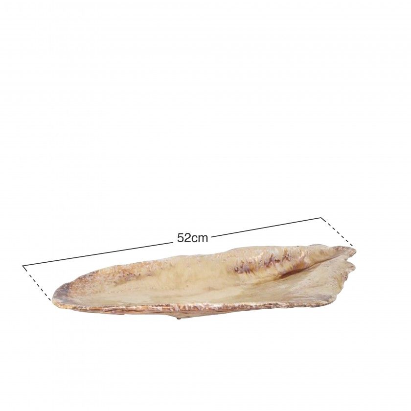 Bandeja Para Mexilhões Miomi 52X23.5X5.5cm Bandeja Para Mexilhões Miomi 52X23.5X5.5cm