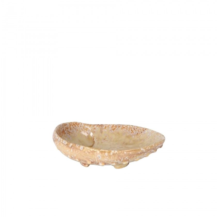 Bandeja Abalon Miomi 19X15X6cm Bandeja Abalon Miomi 19X15X6cm
