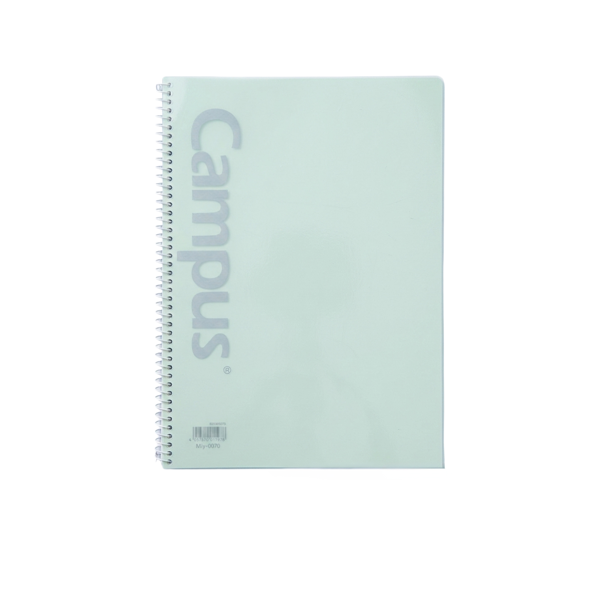 Caderno Espiral Capa Plástica A4 80 Folhas Pastel Pautado 90g