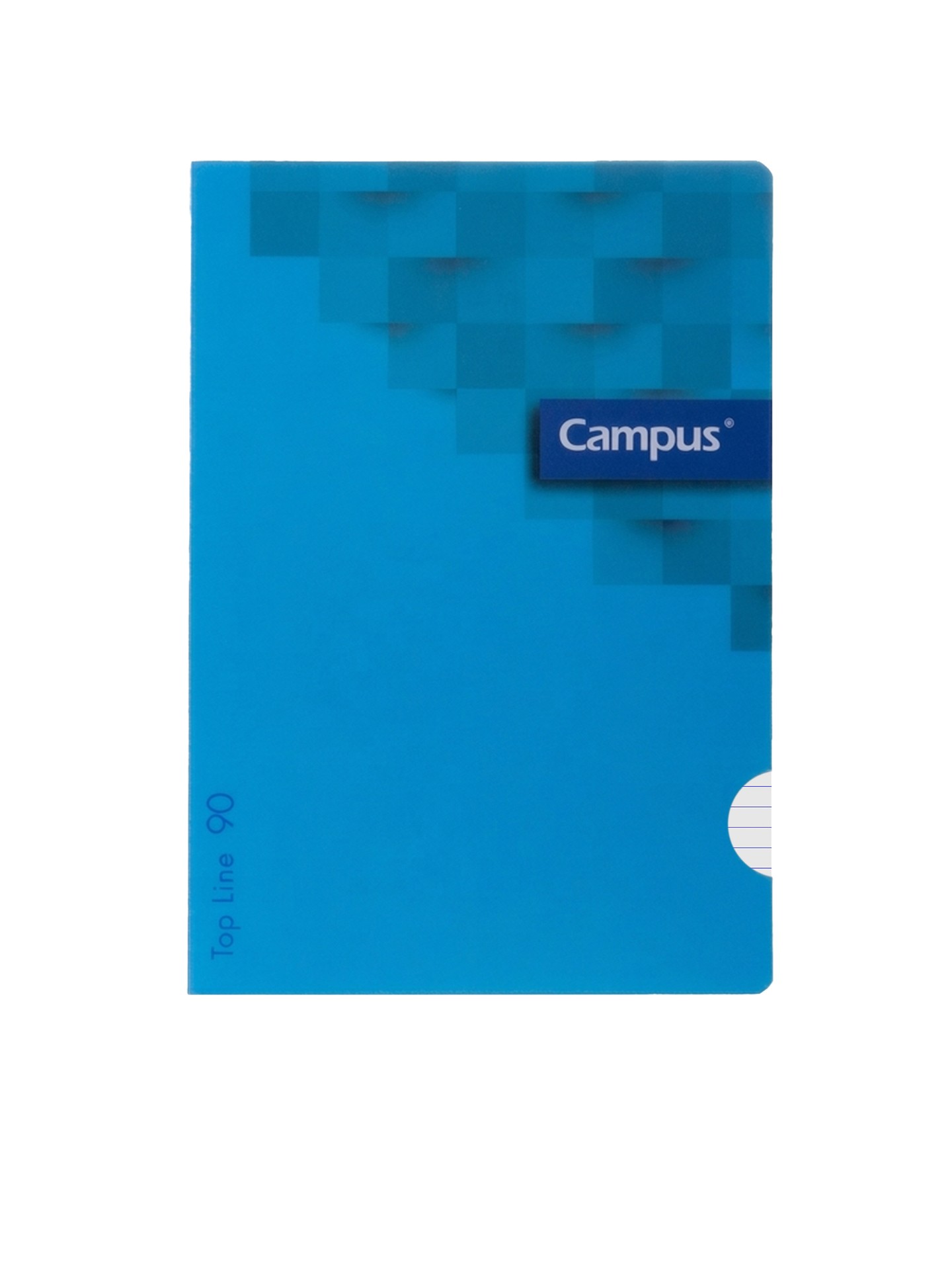 Caderno Agrafado Capa Plástica A4 48 Folhas Pautado 90g