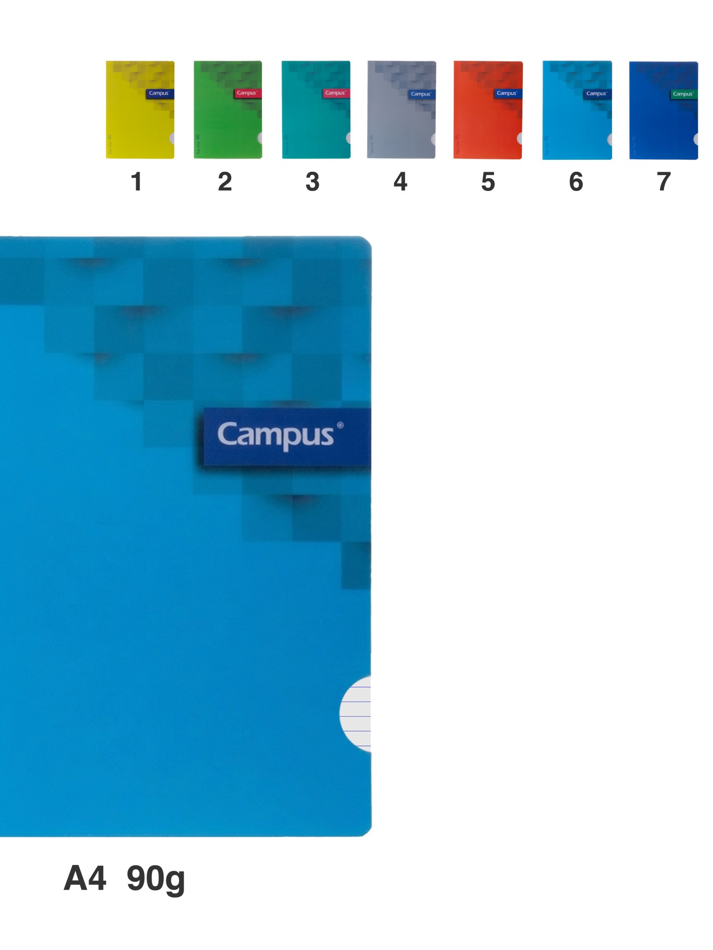 Caderno Agrafado Capa Plástica A4 48 Folhas Pautado 90g