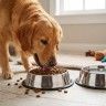 Comedouro Pet Inox �20cm