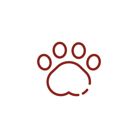 Animais