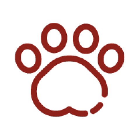 Animais