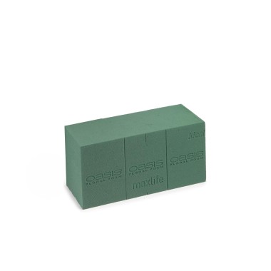 Esponja Natural Oasis 23X11X8cm