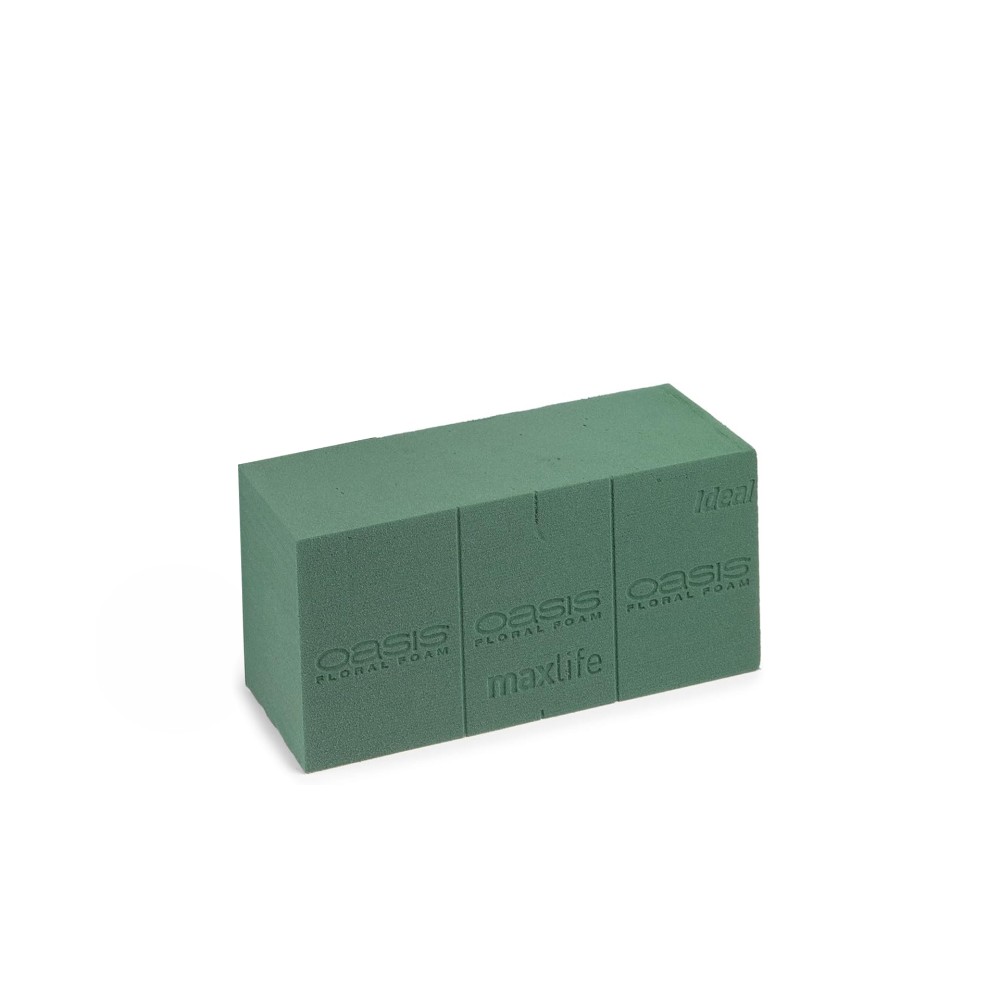 Esponja Natural Oasis 23X11X8cm