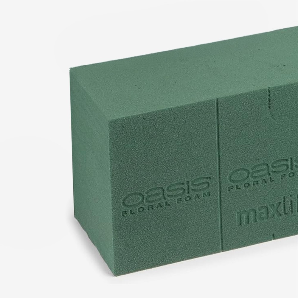 Esponja Natural Oasis 23X11X8cm