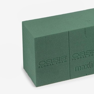 Esponja Natural Oasis 23X11X8cm