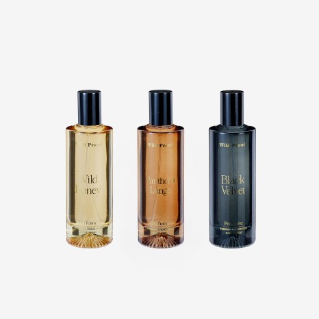 Frasco Vidro Ambientador Sortido 100ml 14X15cm - Image product