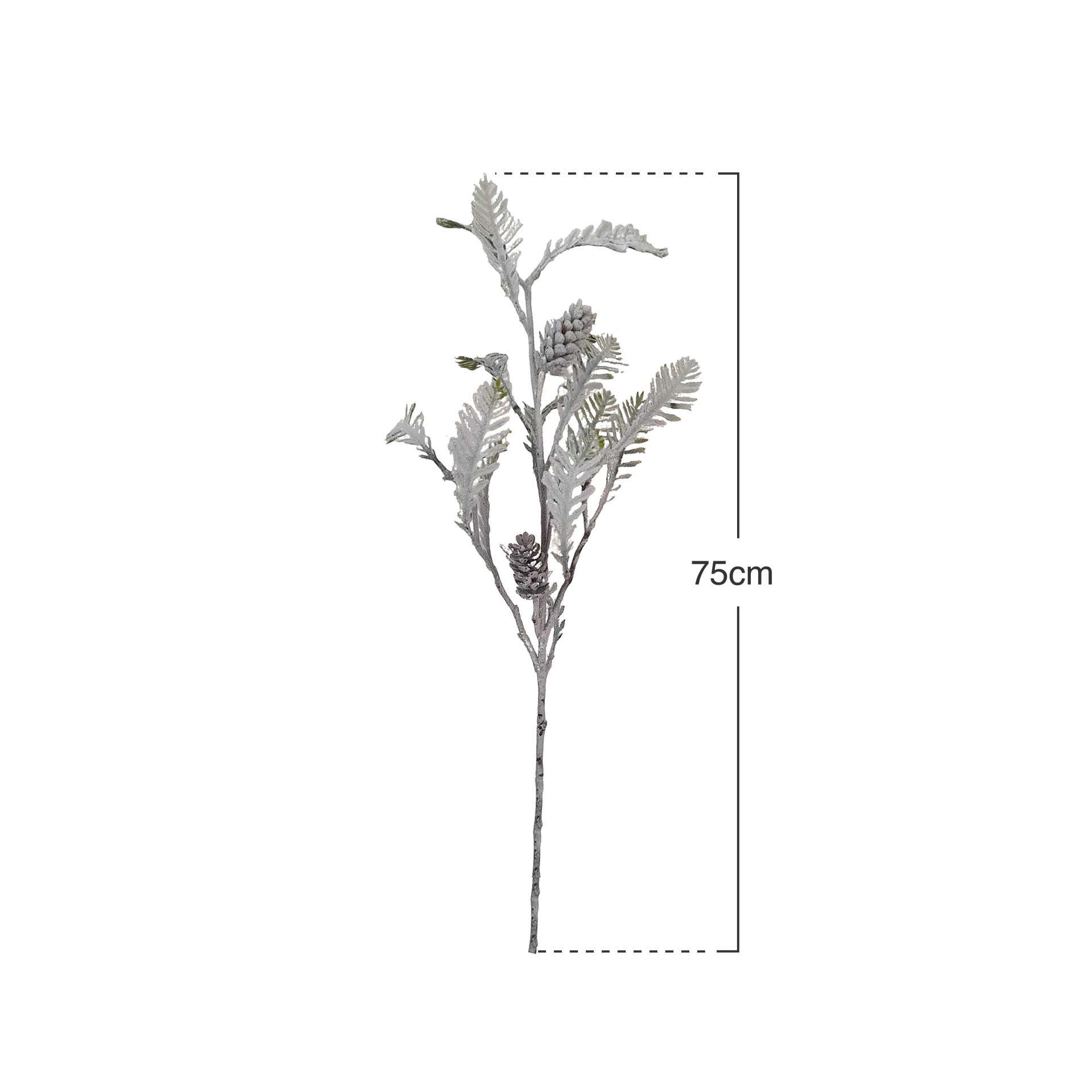 Haste Cineraria Flocada Com Pinhas 75cm