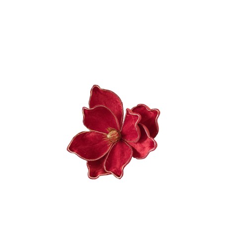 Magnolia com Gancho 20X15cm - Image product
